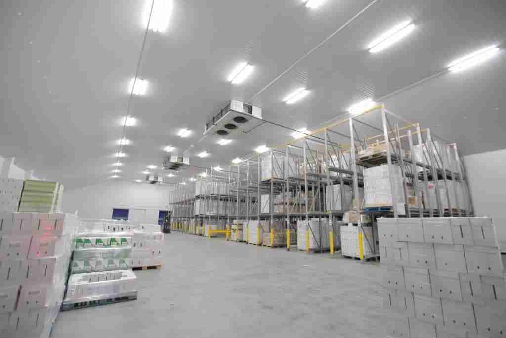 E-Commerce Frozen Shipping - third party logistics